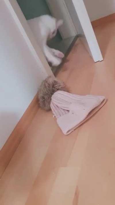 Let me just attack this foreign object!