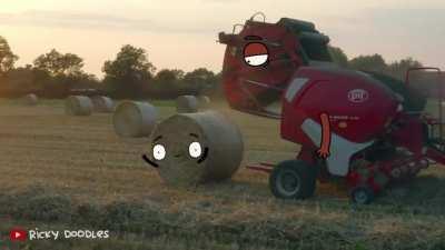 Рождение сена