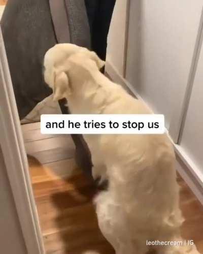 Good boi hates bedtime