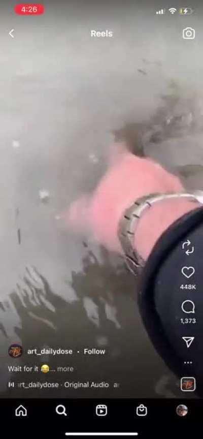 Cool way to seal in that gap