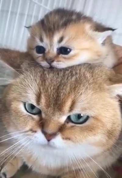 The beginning of fatherhood