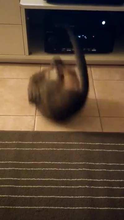 HMC While I defy physics