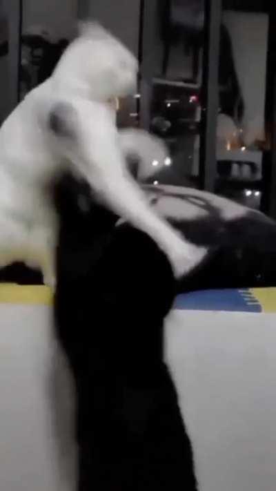 Aye, I’m Not Gonna Lie Tho, This New Beat Slaps.