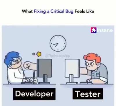 Developer vs Tester