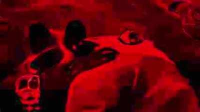 scooby doo pa pa (first void meme edit)