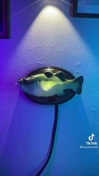 Its so awful its amazing