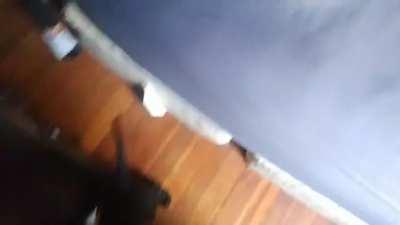 Good girl doesn't think she can be seen from under the covers