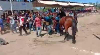 Gathering around a stressed horse