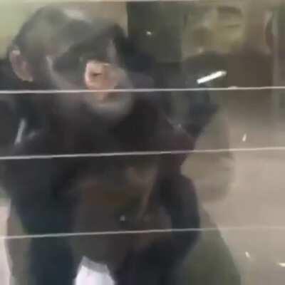 Muquinha depois de entrar pro trap 🤪😏💥