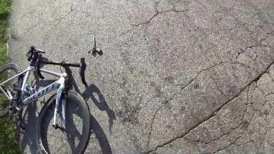 Cop was texting while driving and hits cyclist head on