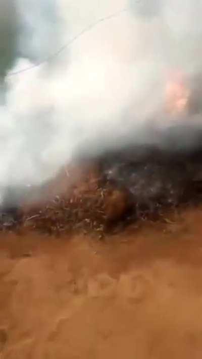 DESGRAÇADO QUEIMOU MEU FEIJÃO 😡😡