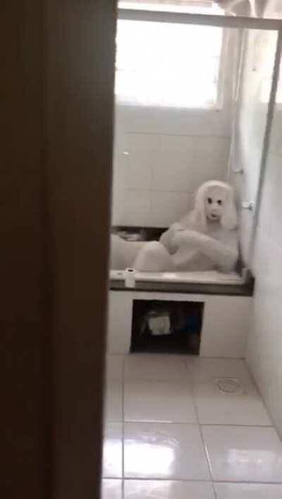 Coelhinho da Páscoa!!!