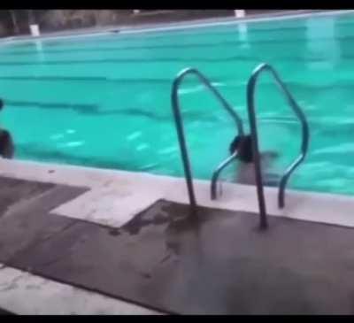 To jump in the pool.