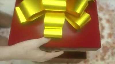 What a nice dog! Can I pet it?