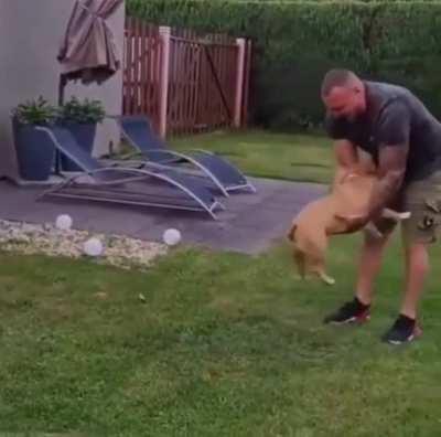 DeSpErAte MaN fIgHtS fOr HiS LiFe As ViCiOuS fUcKiNg BeAsT rEpEaTeDlY aTtEmPtS tO eAt HiS gOdDaMn FaCE