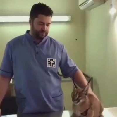 quien no quiere uno de esos