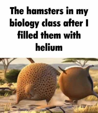 It was just an experiment..