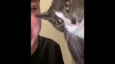 pera é brabo [sem musiquinhas ou barulhos altos]