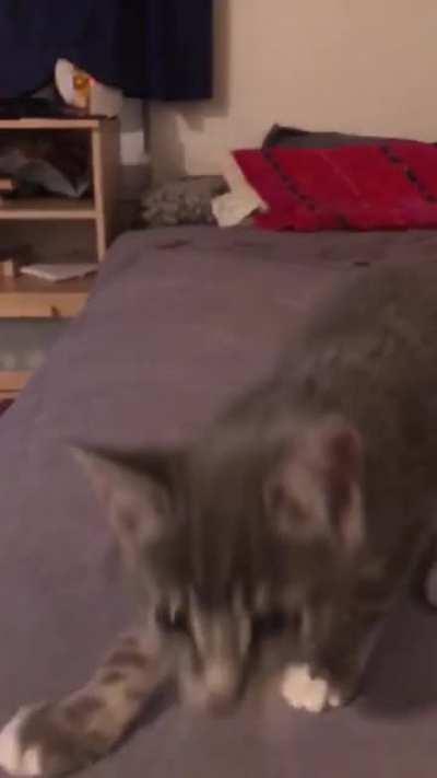 So small, yet so cocky 😍