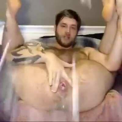 Birds waiting for the right time to strike