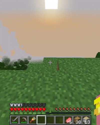 The chickens… they’re coming.