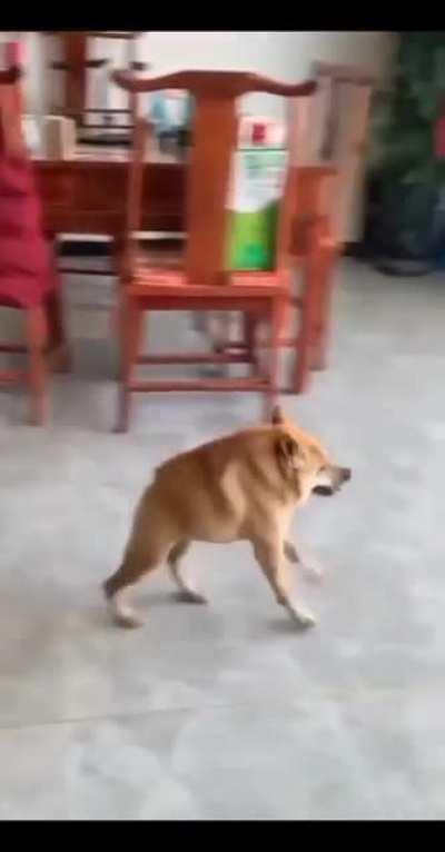 Enviei na sua caixa postal 🥰🥰