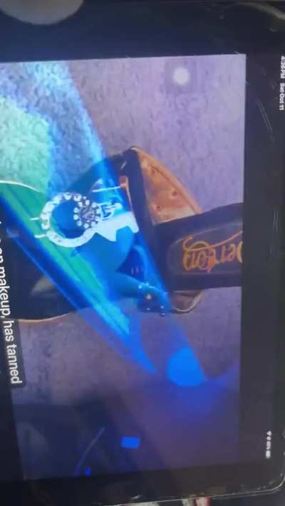 Were they using drugs before they came on the jersey shore?