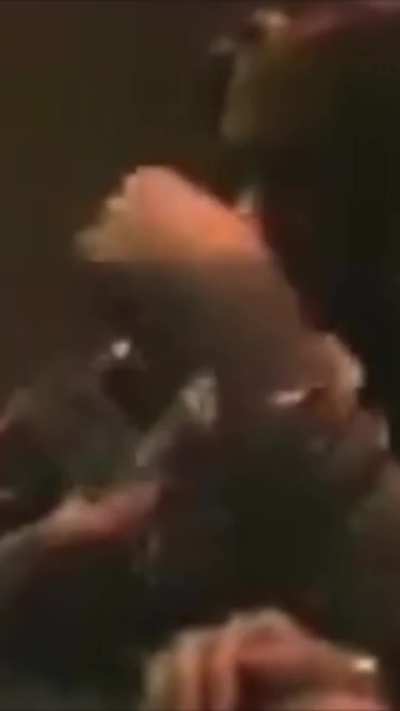 A rare interview with Axl Rose discussing koala bears