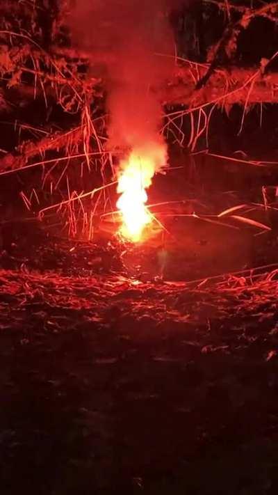 Cracked open a lithium battery for some late night fun.