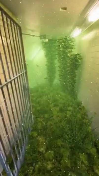 taking the submechanophobia... way