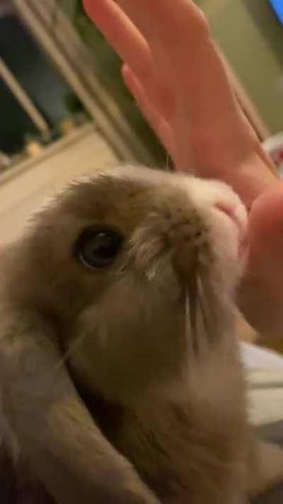 I don’t know how Bobby has any saliva left?!