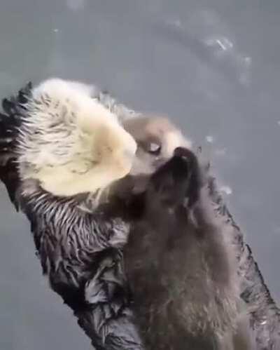 Mother's love is best