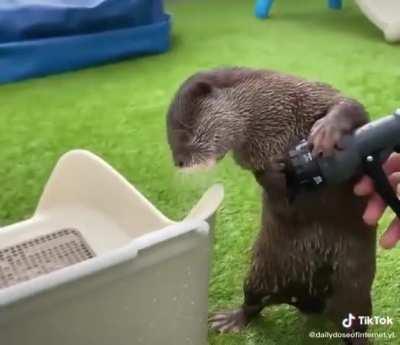 Otter won't let this box get wet