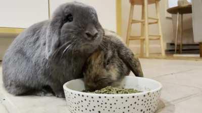 Good morning thanks for breakfast mom