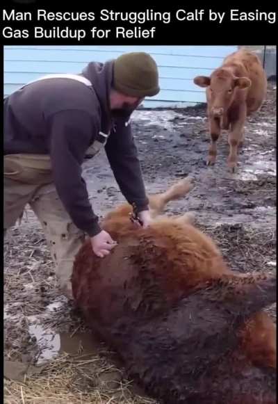 This video left me feeling relieved. 🤣