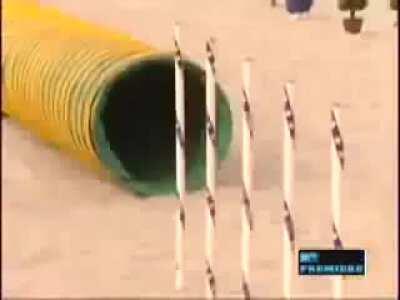 MTV Dating Shows were cringey as hell back then