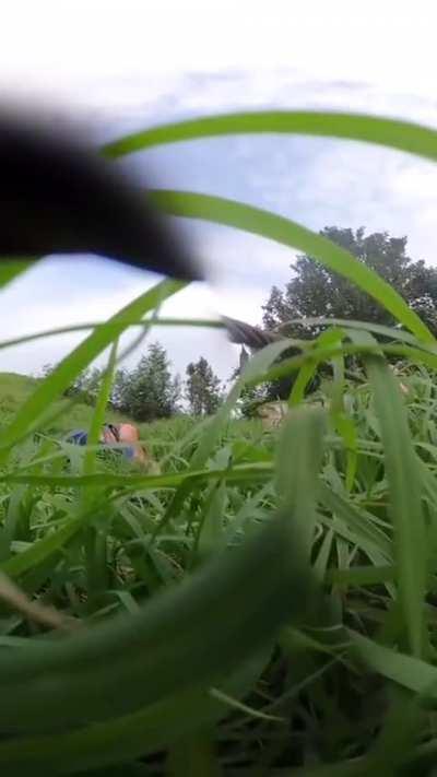 I wasn't ready for that. Watch where you are going.