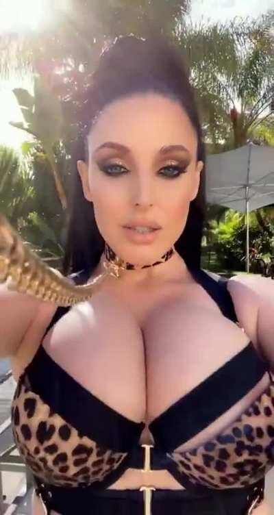 Putting Angela on a leash