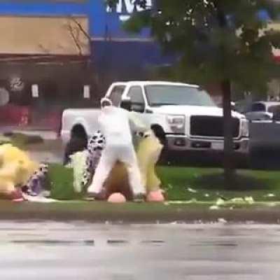 Cows and chickens fight 😂