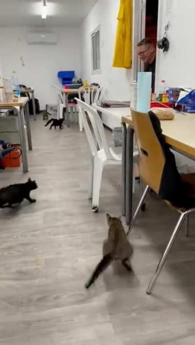 What just happened??