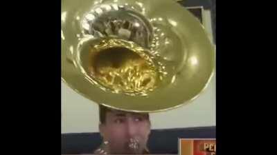 Todo es una referencia.