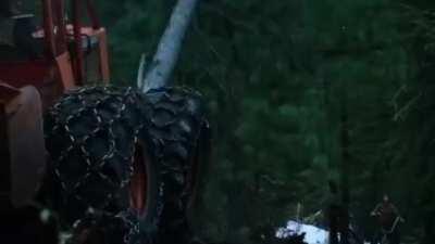 this is so cottagecore 🥰🥰🥰