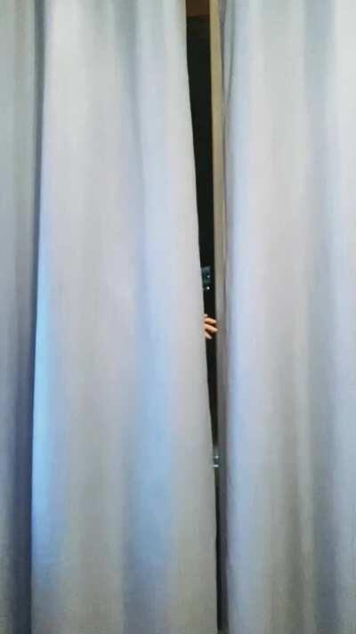 The existence of boobs