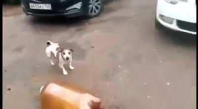 I just joined this sub cause I am sure this is ment to be here