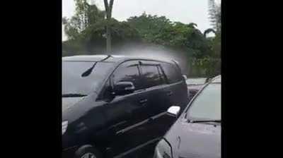 Lmao what the heck is going on