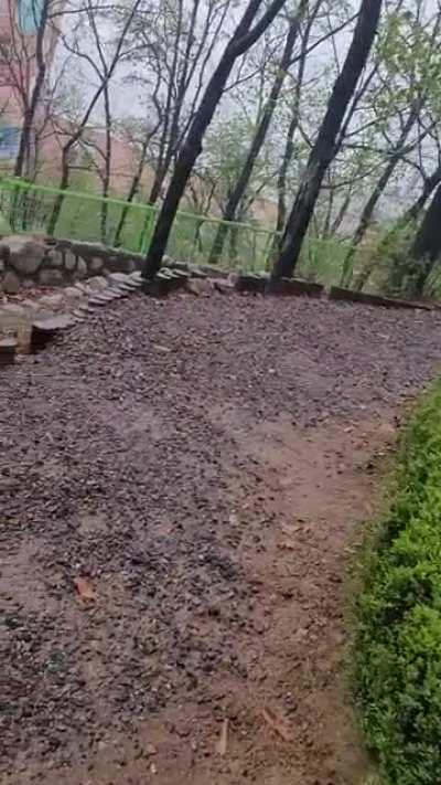 It was raining in Seoul for over a day (longer than recently) and I found a path to a traditional gazebo called a Jeong-jah. Hopefully the sound comes through clean and clear, as it was my favorite part (being under an umbrella - one of my favorite 'rain'