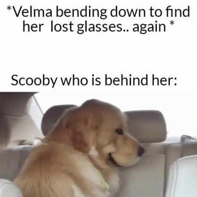 Ever wondered about perv scoob?