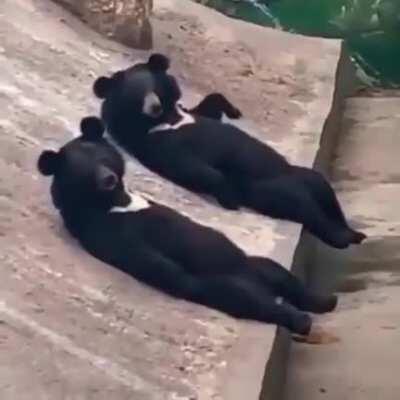 Just so casual about it.