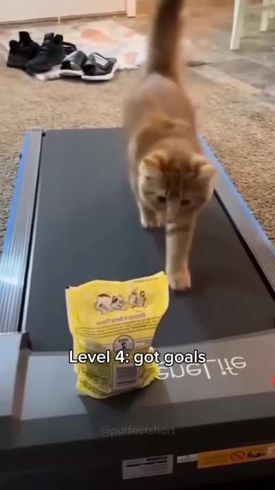 WUNKI ARE GROWING IN STRENGTH