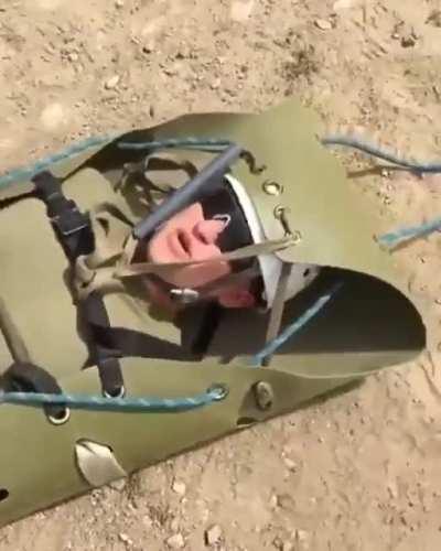 pickle rick armored goliath of earth fucker of aliens